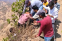 महिला दिनानिमित्त दुर्गा ब्रिगेड संघटना महाराष्ट्र राज्य तर्फे दुर्गाशक्ती पुरस्कार सोहळा मोठ्या उत्साहात संपन्न
