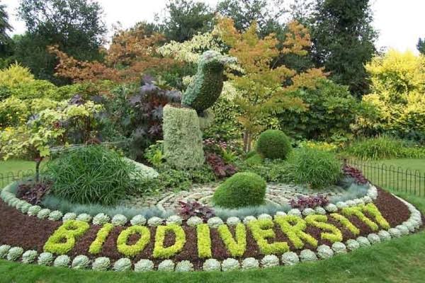 तळवडे येथील बायोडायव्हर्सिटी पार्कला आयुक्तांनी दिली गती